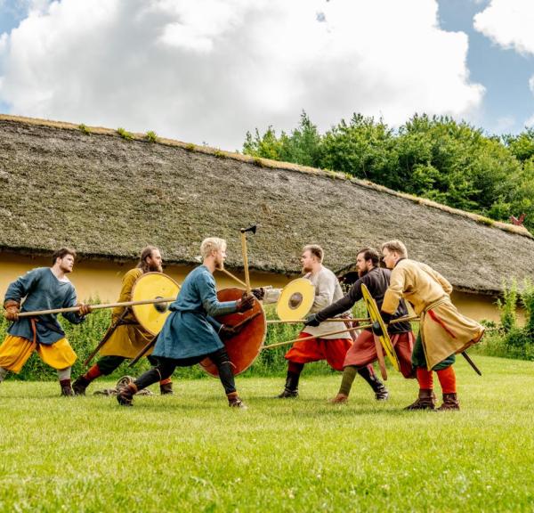 Vikinger i Himmerland