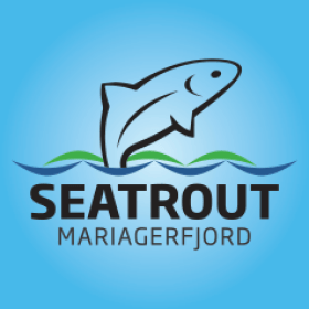 Seatrout Mariagerfjord