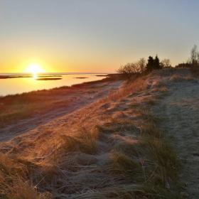 Vinter ved Kattegat - Øster Hurup